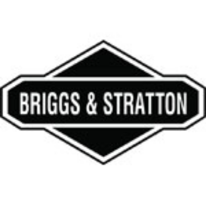 Picture for manufacturer Briggs & Stratton