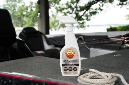 Picture of 30573 303 Products Inc. Mildew Stain Remover