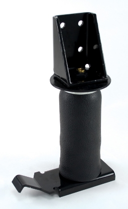 Picture of 59530 Air Lift Helper Spring Kit