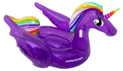Picture of AIRHEAD Float Tube AHPF3020 â€“ Durable Inflatable Water Tube for Boating & Lakes