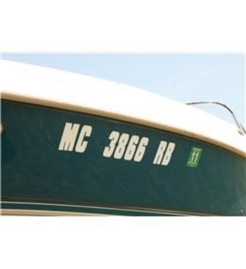 Picture of Attwood Marine Body Graphics, Part #141417 â€“ Durable Boat Decal Sticker