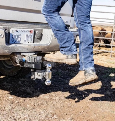 Picture of TS35050 B&W Trailer Hitches Truck Step