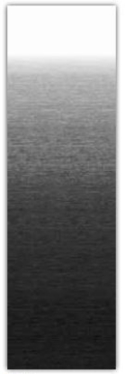 Picture of 14989NR417 Dometic Awning Fabric