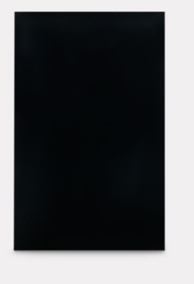 Picture of 9600015854 Dometic Refrigerator Door Panel