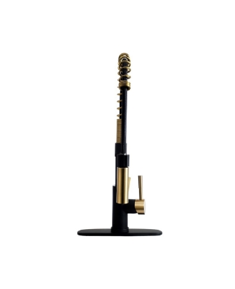 Picture of 504SLKMBRG Dura Faucet Faucet
