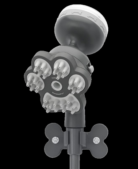 Picture of 78166 Oxygenics/ ETL Shower Head