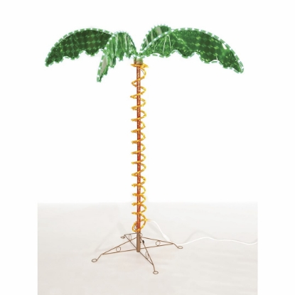 Picture of 20521 Faulkner Rope Light