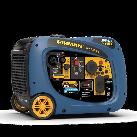 Picture of WH03042 Firman Generator Power