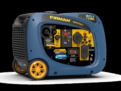 Picture of WH03041 Firman Generator Power