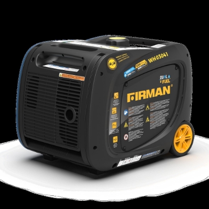 Picture of WH03041 Firman Generator Power