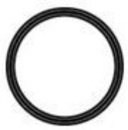 Picture of OR4 FlowPur/ Watts Fresh Water Filter Housing O-Ring
