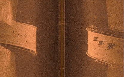 Picture of 100205500 Garmin Transducer