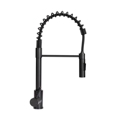 Picture of 2021090598 Lippert Components Faucet