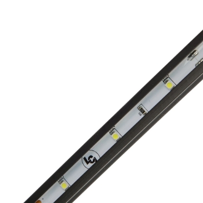 Picture of 423629 Lippert Components Awning Light