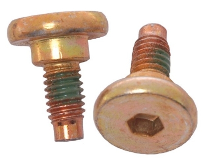 Picture of H5019W Raybestos Brakes Disc Brake Caliper Bolt