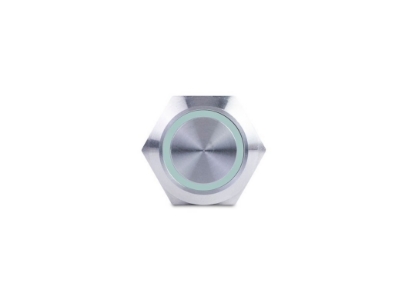 Picture of AV10040G Sierra Marine Push Button Switch