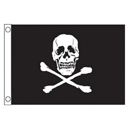 Picture of 1818 Taylor Made Flag