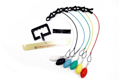 Picture of GFCCCSG2DP T-H Marine Fish Cull System