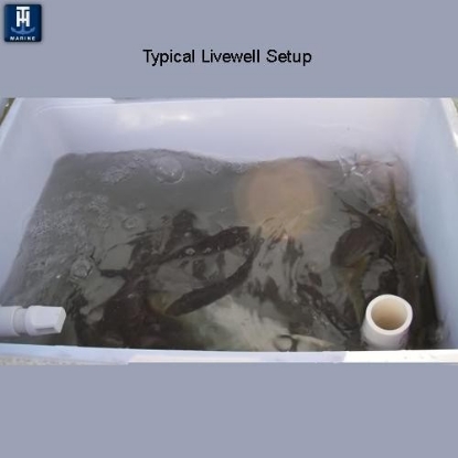 Picture of AHV90DP T-H Marine Livewell Aerator Spray Head