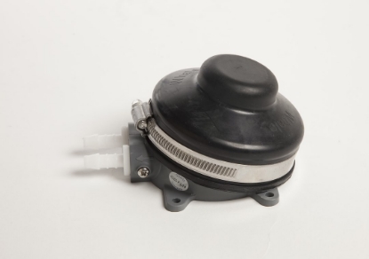 Picture of GP4634B WHALE Fresh Water Pump